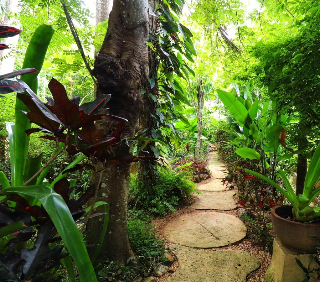 Whitsundays Bnb Retreat Airlie Beach Exterior foto